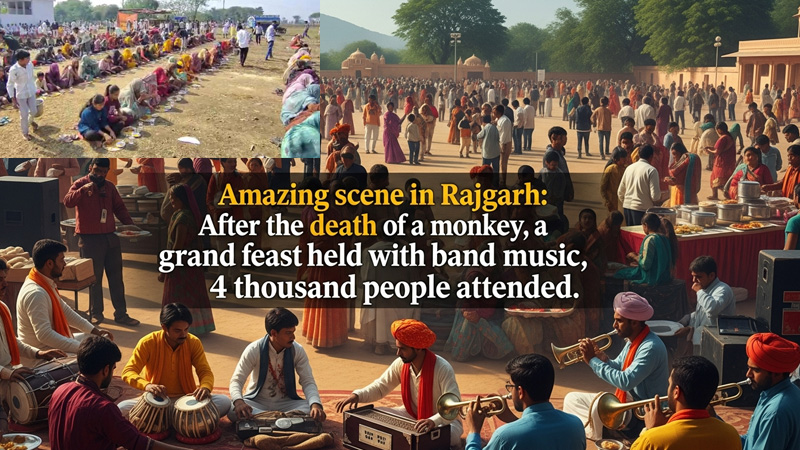 राजगढ़ में अनोखा नज़ारा: बंदर की मौत के बाद बैंड-बाजे के साथ हुआ भव्य भोज