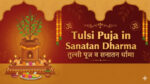 Tulsi Pujan Sanatan Dharma