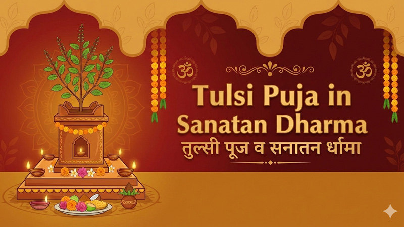 Tulsi Pujan Sanatan Dharma